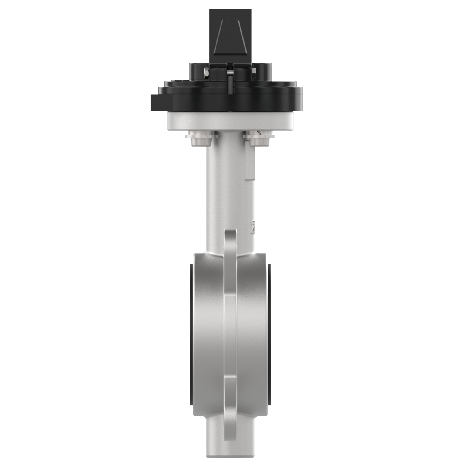 Stainless steel butterfly valve DN65