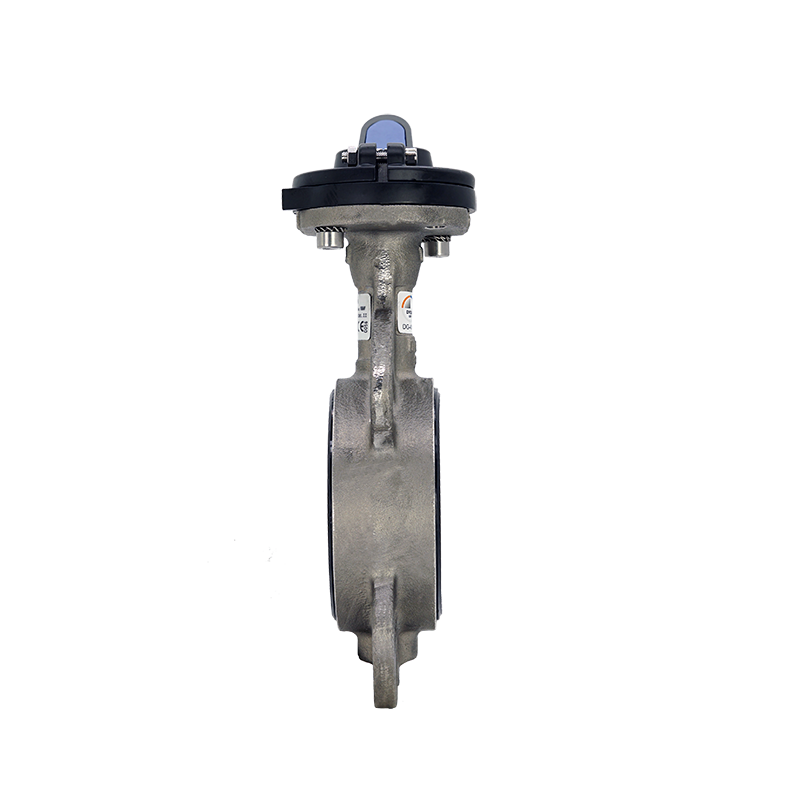 Edelstahl-Zwischenflanschklappe-DVGW-Trinkwasser