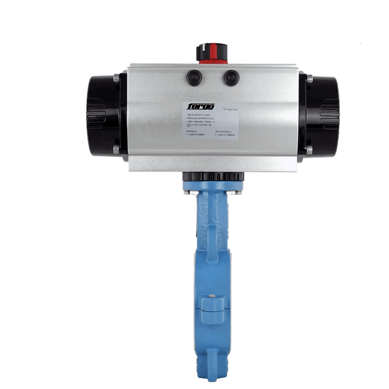 PTFE Absperrklappe
